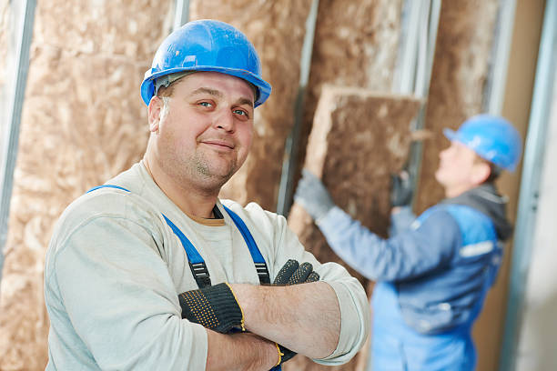 Best Residential Insulation in Temple Hills, MD