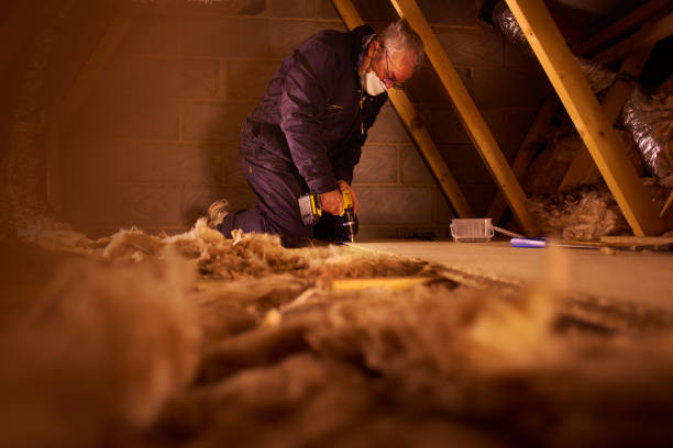 Best Cellulose Insulation in Temple Hills, MD